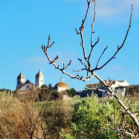 Rurale La Corte Degli Ulivi 3* Tresnuraghes