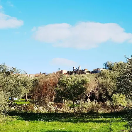 Hotell La Corte Degli Ulivi - Rurale Tresnuraghes