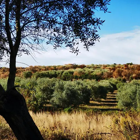 La Corte Degli Ulivi - Rurale מלון