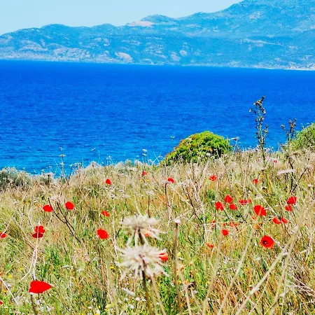 La Corte Degli Ulivi - Rurale Ξενοδοχείο