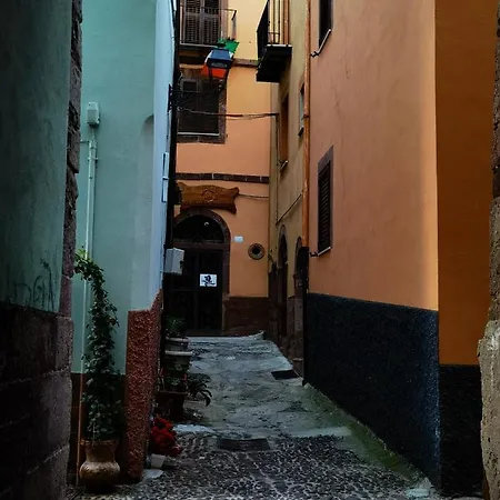La Corte Degli Ulivi - Rurale Tresnuraghes