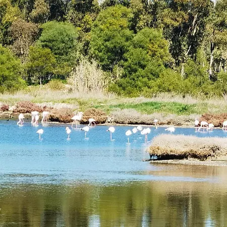 La Corte Degli Ulivi - Rurale